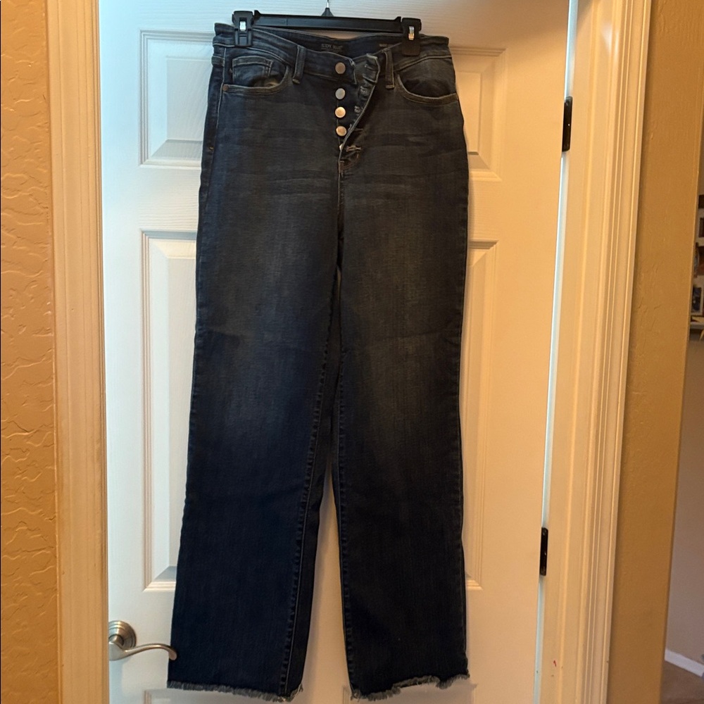 Judy Blue Classic Denim Jeans Size 11/30